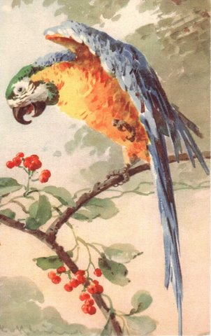 23 historische Ansichtskarte:  Papagei Lithokarte 